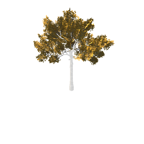 BeecthTree02GoldB2_afsTREE_xmvcb _xlod00_xlp_1